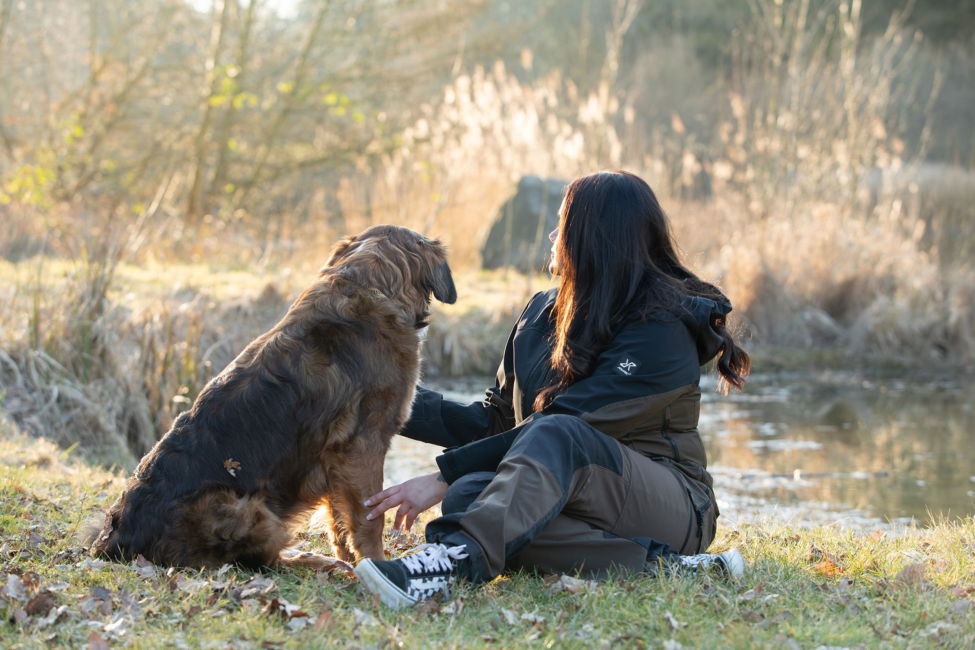 Hund-im-Einklang-3
