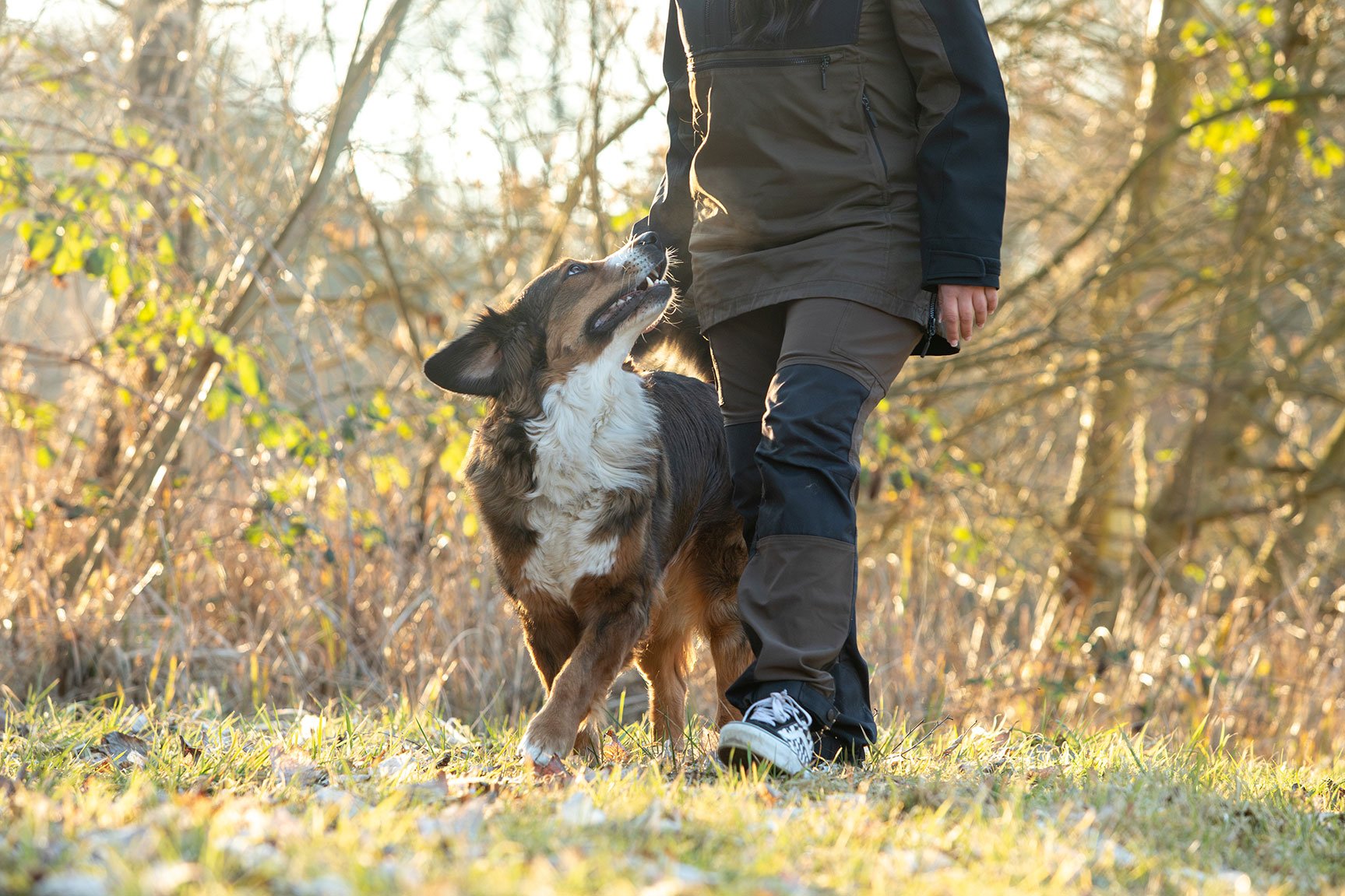 Hund-im-Einklang-4