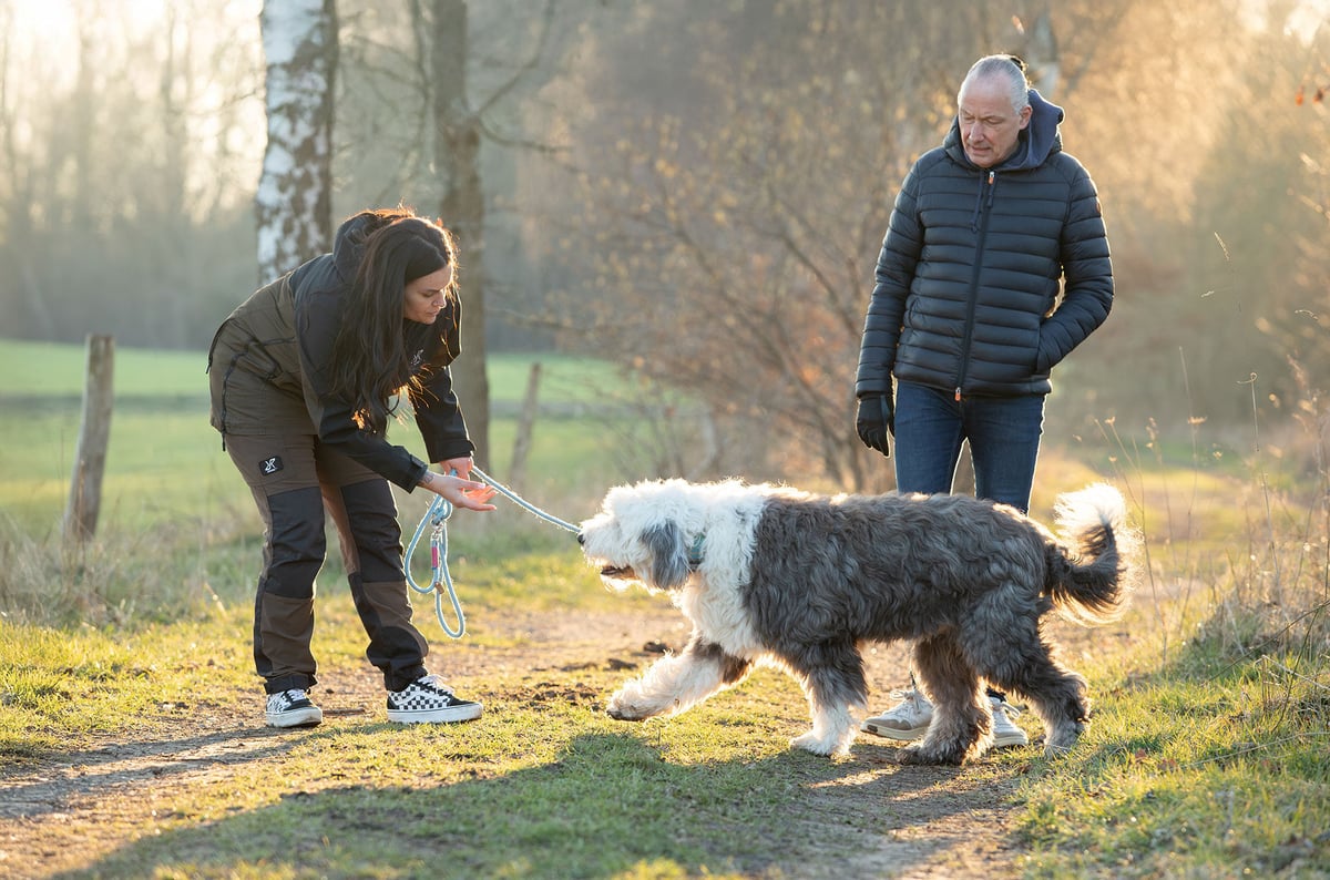 Hund-im-Einklang-6