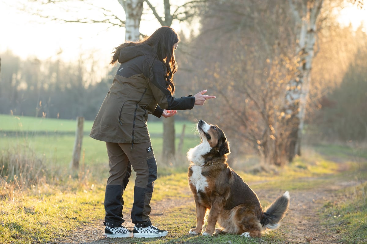 Hund-im-Einklang-8