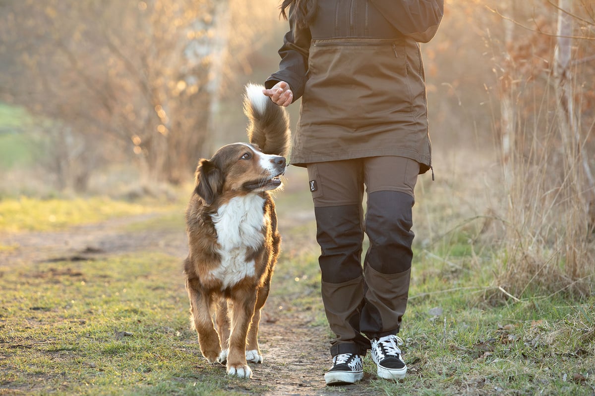 Hund-im-Einklang-9